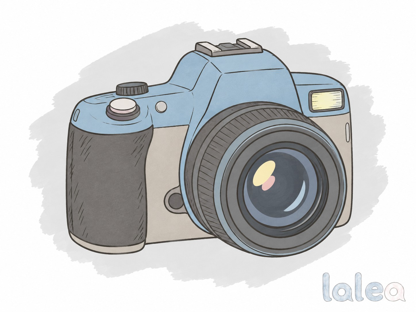 camera